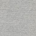 Coast 2571 Light Grey